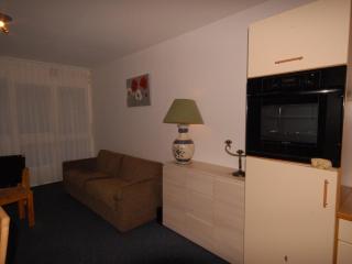 Studio confort 6 pers, balcon Sud-Est, animaux admis - FR-1-859-37 - 6