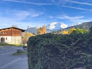 Appartement cosy avec balcon près du centre de Combloux - FR-1-560-170 - 9