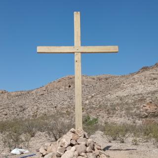 Top Campsite at Desert Gardens Oasis in Lobo, TX - 8