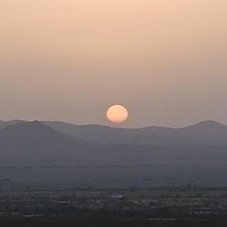 Top Campsite at Desert Gardens Oasis in Lobo, TX - 7