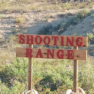 Top Campsite at Desert Gardens Oasis in Lobo, TX - 3