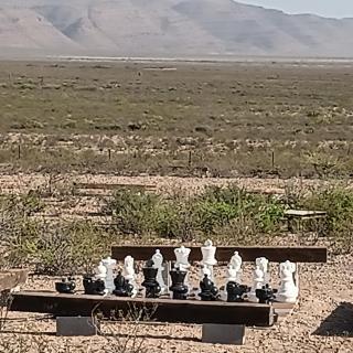 Top Campsite at Desert Gardens Oasis in Lobo, TX - 1