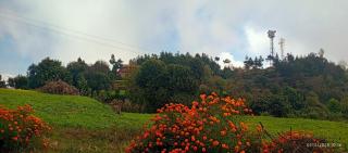 Everest Home Stay Temal Kalimati Tower - 2