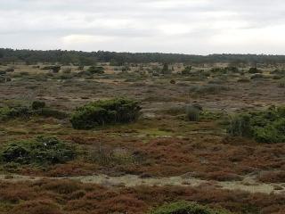 4 person holiday home in Hadsund - 6