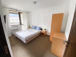 1BR Apartment with Mountain View near the Gondola - 2