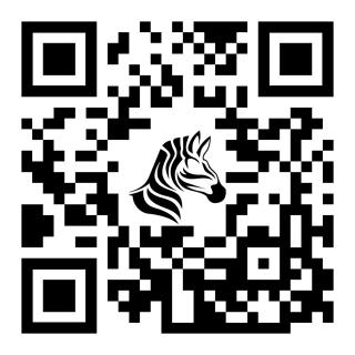 Zebra Guest House - Ulán Bator - 3