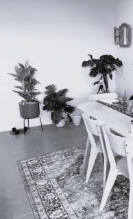 42 Coogee Beach Marina 3br Haven Near Omeo Wreck - 1