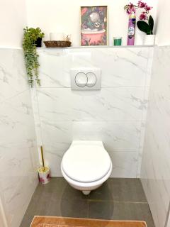 Ground floor apartments in the centre of the city - 5