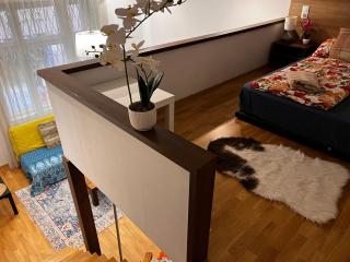 Ground floor apartments in the centre of the city - 9