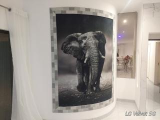 Ocean View Road Villas - 6