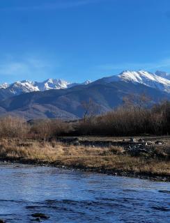Porumbacu Garden - 9
