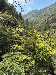 Hotel Paradise hiils dalhousie - 8