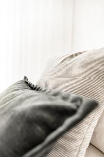 Discover - Ebenezer Bicheno - 8