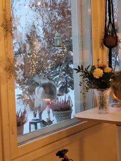 Quiet apartment with Sauna near Santas Village - 7