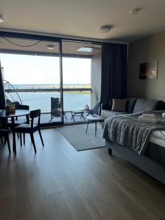 Marinan Portin Svingi A23 lemmikit sallittu - 6