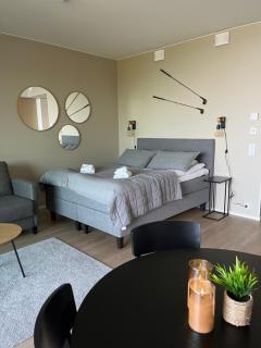 Marinan Portin Svingi A23 lemmikit sallittu - 3