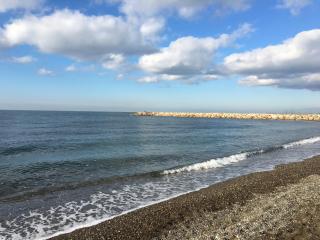 Il Pinolo - Marina di Cecina - 3