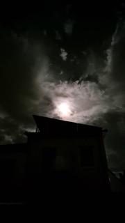 Gemütliches Ferienhaus im Herzen von Cuxhaven - 1