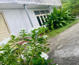 Delft Aquatic Tourist Hotel - 4