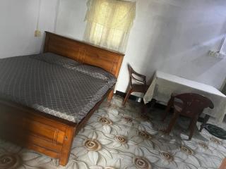 Delft Aquatic Tourist Hotel - 2