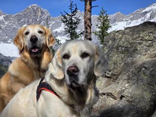 Almfrieden Hotel & Romantikchalet - 8