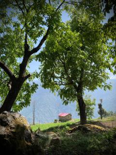 The Goat Village - 6