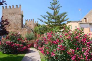 Siesta Style - Alcudia - 3