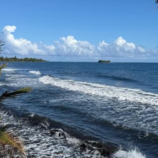 Ave Surfing House - 8