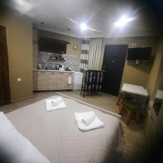 Apartment near the museum - 7