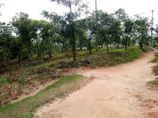 IMANGA Hill Place - 3