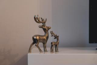 Ratuszove Love - dwie osobne sypialnie, w rynku - by Everslow - 1