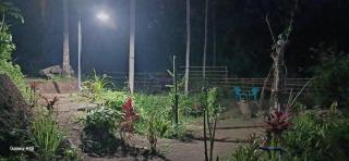 Bareng Homestay Tetebatu - 8