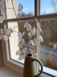 Ferienwohnung Festungshof Coburg - 1