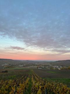 Les Chantereines - 5