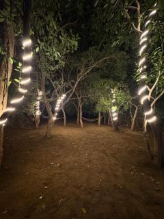 HOTEL THE PUSHKAR FLOWER - 4