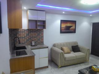 Ab comfort apartment - 2