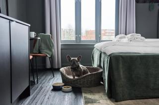 Hotel Filip - Oslo - 7