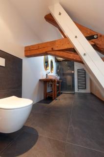 Modern And Bright Family Loft Near Annecy - 3