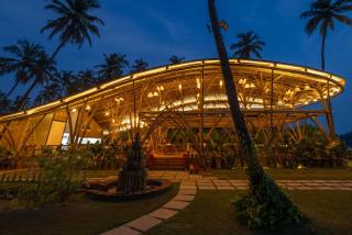 The Wave , Palolem - 6
