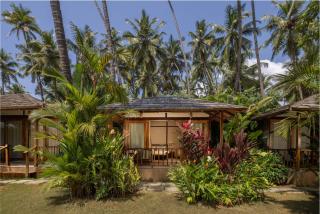 The Wave , Palolem - 4