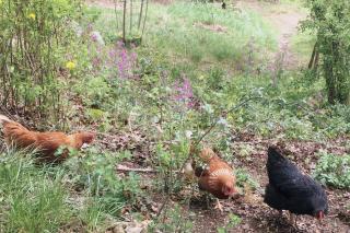 Natur, Seen, Sauna & Ruhe im brandenburgischen Seenland - 7