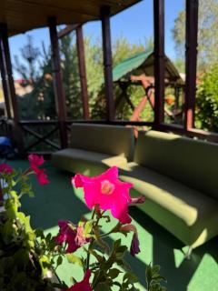 Близнюки Готель - 5