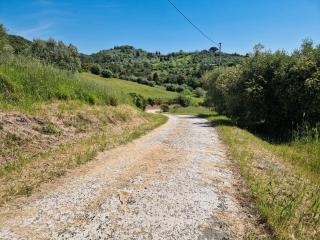 Piccolo Paradiso - Riparbella - 6