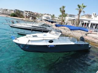 aladdin-travels-egy - 3