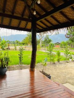 Shazzam place tour and jungle trekking - 5