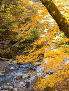 Minka -STAY Traditional Japanese houses - 8