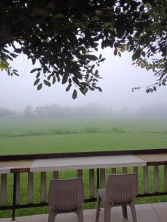 Six Nature Resort - 5