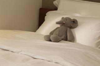 Asakusa 701 Quad Room - 2