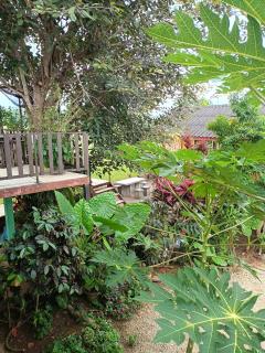 Six Nature Resort - 4