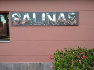 Atico de lujo con hermosas vistas, Salinas, Estepona - 9